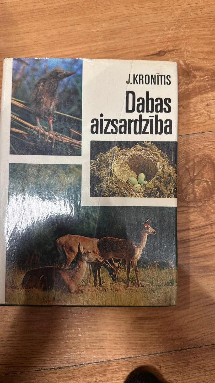 Dabas aizsardzība